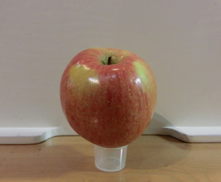 2013106.jpg