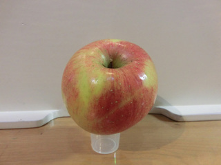 2013106a.jpg