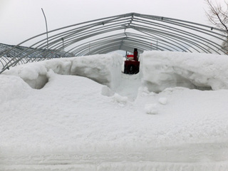 2013321a.jpg