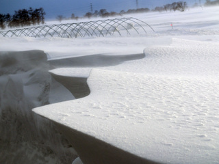 2013321bb.jpg