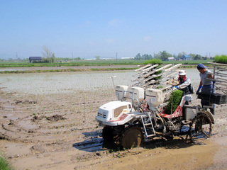 2013606.jpg