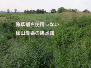 629.jpg