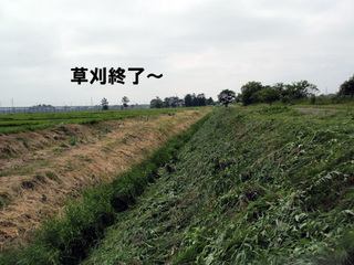 629A.jpg