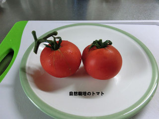 916.jpg
